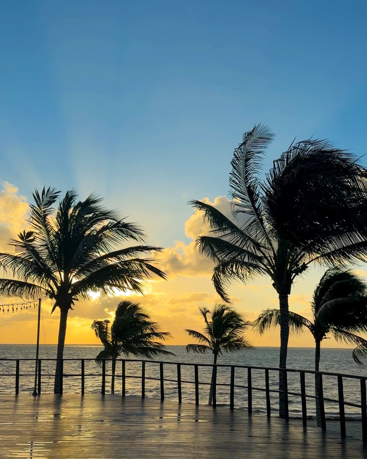 Sunrise over the ocean and palm trees at Haven Riviera Cancun honeymoon resort