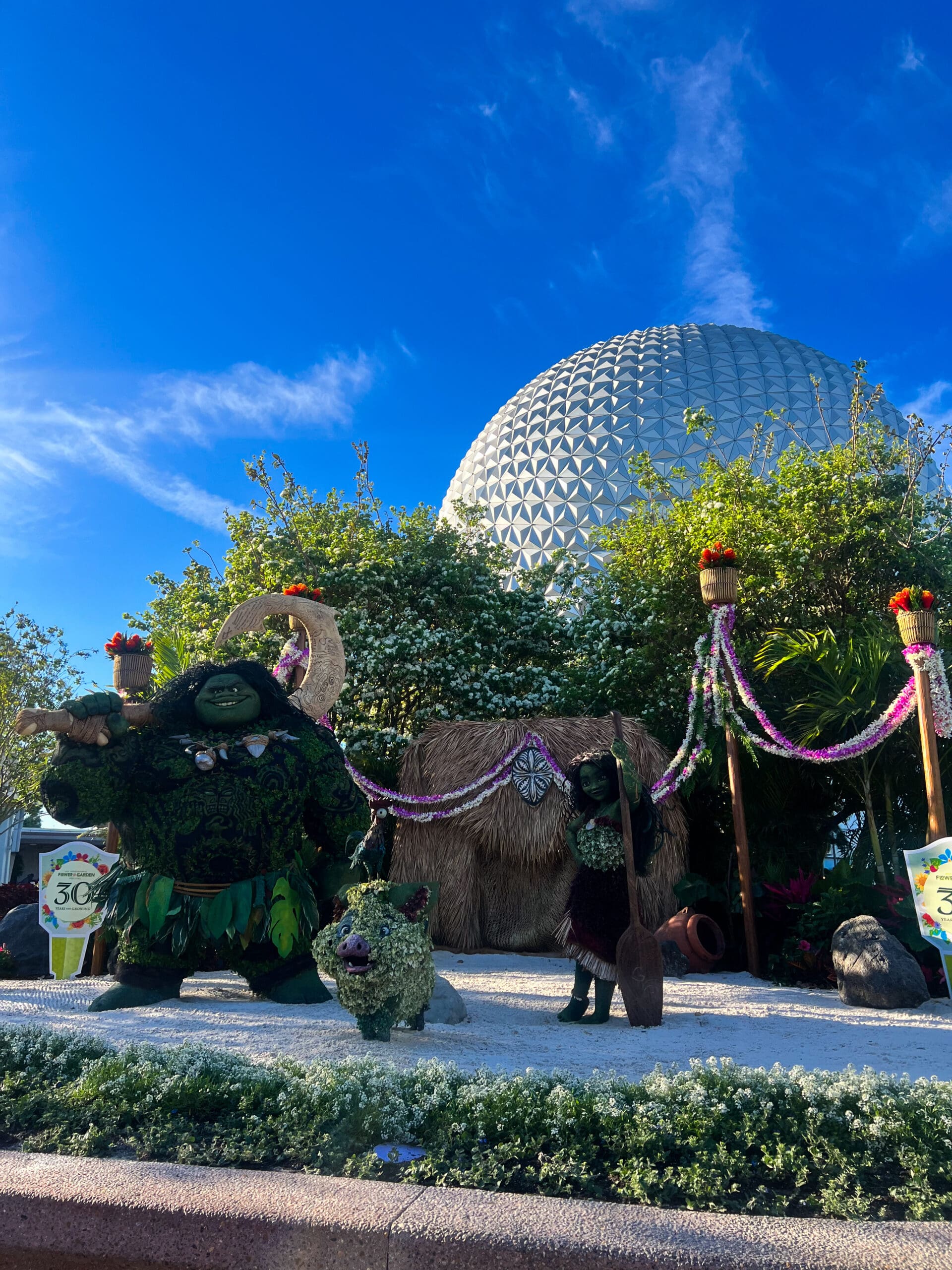Moana and Maui topiary sculptures with tropical details at Epcot Flower & Garden Festival Disney World – vibrant Disney character topiaries in front of Spaceship Earth Orlando