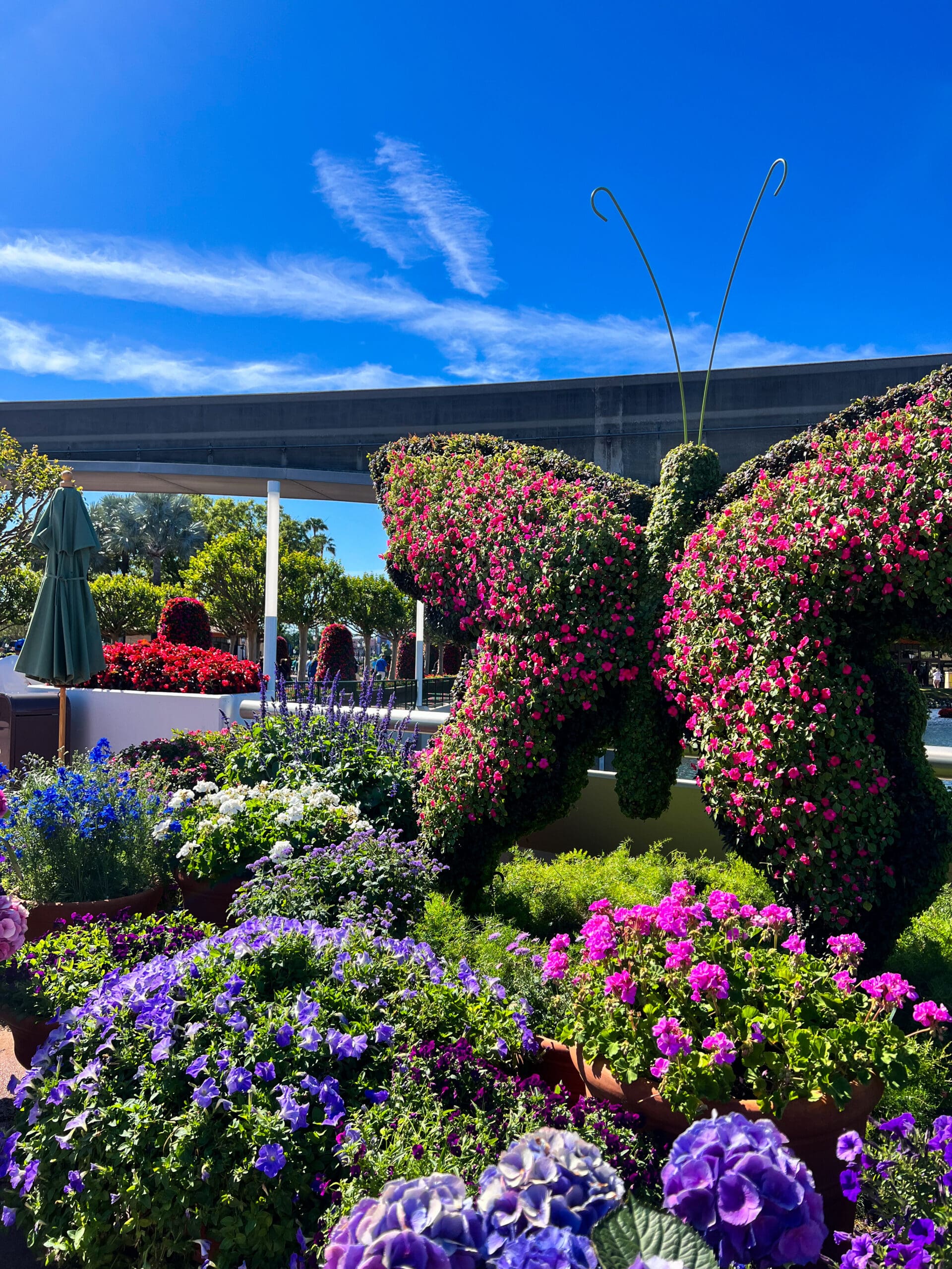 Massive pink and purple butterfly topiary made of blooming flowers at Epcot International Flower & Garden Festival Disney World – stunning garden art under blue sky in Orlando