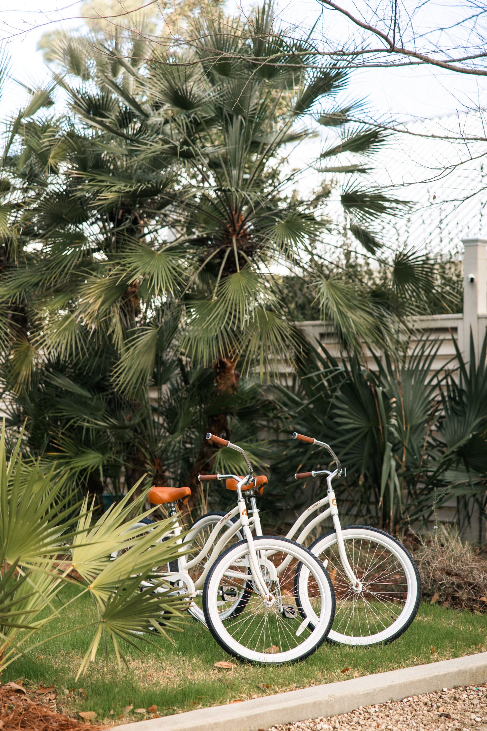 Two white cruiser bicycles parked on the lawn in front of Lucia Bleu Fairhope Cottages surrounded by tall palm trees during the Fairhope Alabama photoshoot